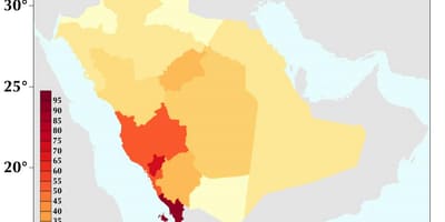 Arabia Saudyjska mapę gęstości zaludnienia 